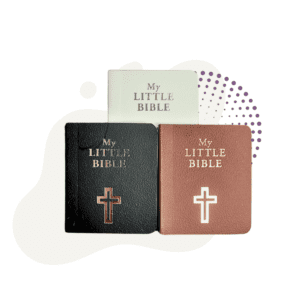 Three Toddler Bibles with embossed crosses on the covers are displayed: one white, one black, and one brown.